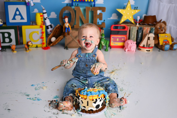 Toddler milestone first birthday celebration